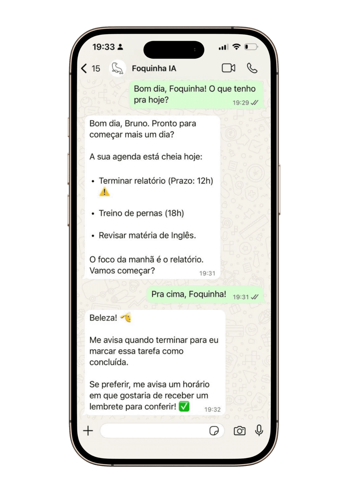 Interface da Foquinha IA no WhatsApp